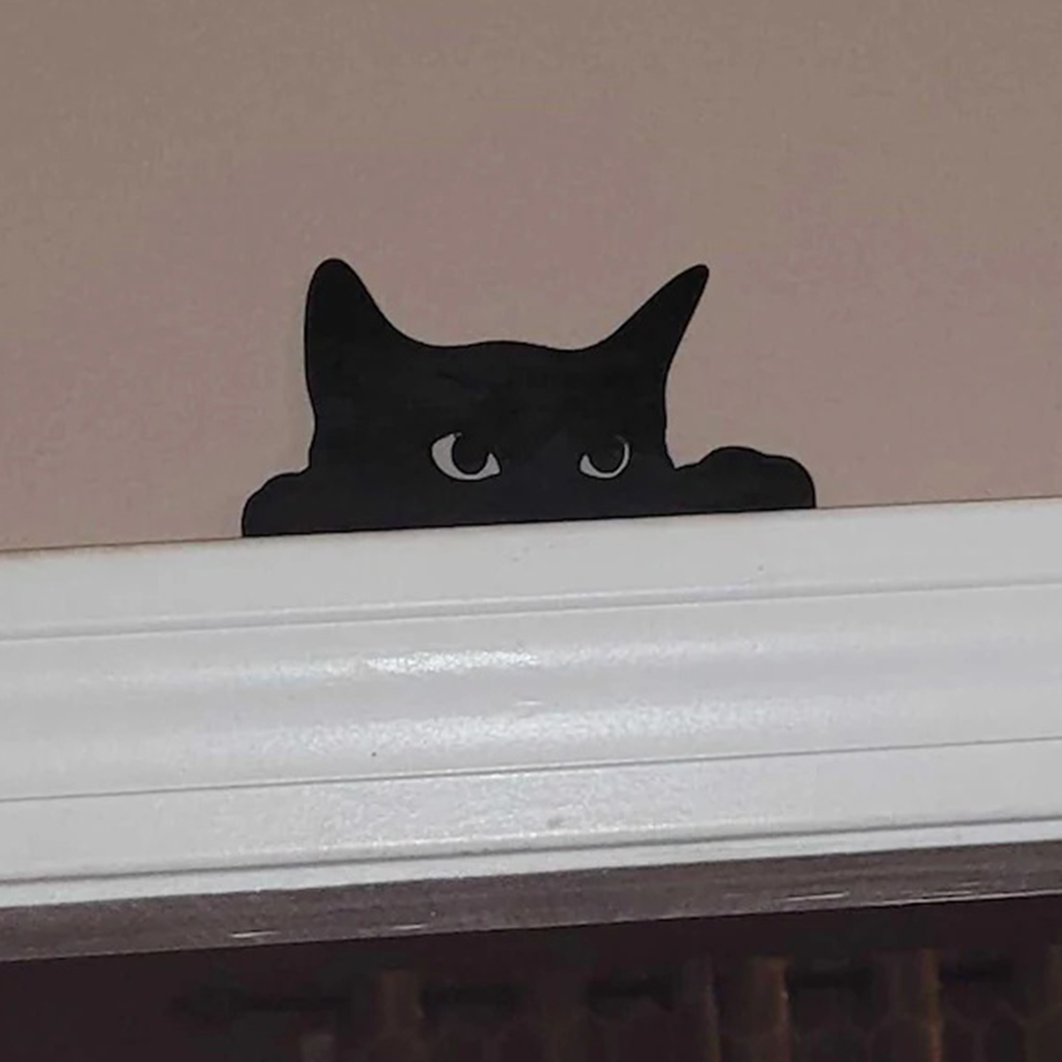 1 Pc Cat looking up Door Toppe - Kitchen Up บทวิจารณ์และราคา